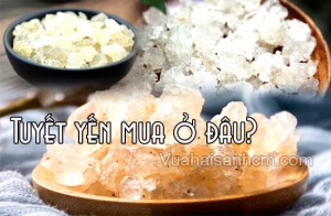 Tuyết yến mua ở đâu TP.HCM an toàn chất lượng?
