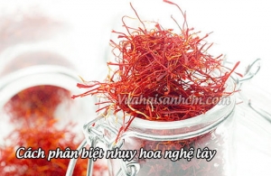 Cách phân biệt nhụy hoa nghệ tây TP.HCM thật giả