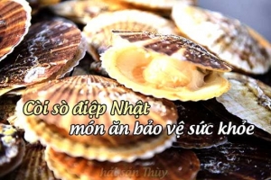 Cồi Sò Điệp Nhật và các món ăn tốt cho sức khỏe